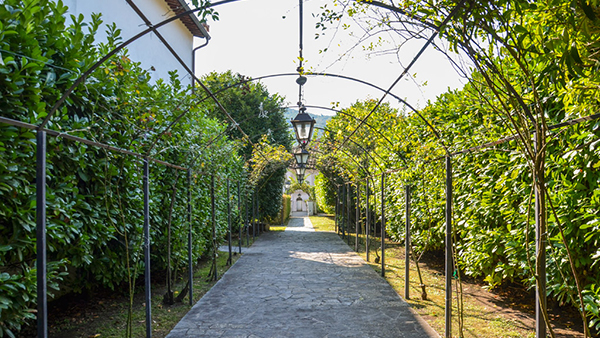 Giardino del Palazzo Cenci Bolognetti